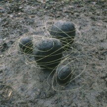 Andy-Goldwworthy-Grass-Stalk-Line-and-Mud-Covered-Rocks-Cumbria-1984-575x572